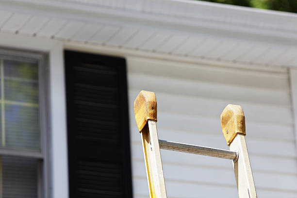 Best Brick Veneer Siding  in Shafer, MN