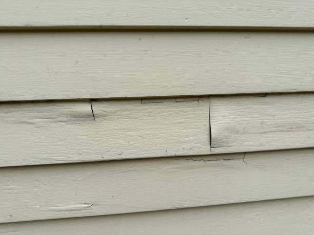 Best Insulated Siding Installation  in Shafer, MN